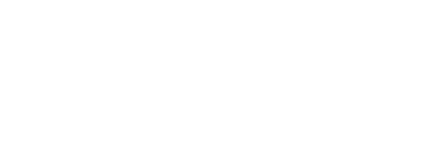 BSR Automotive Solution